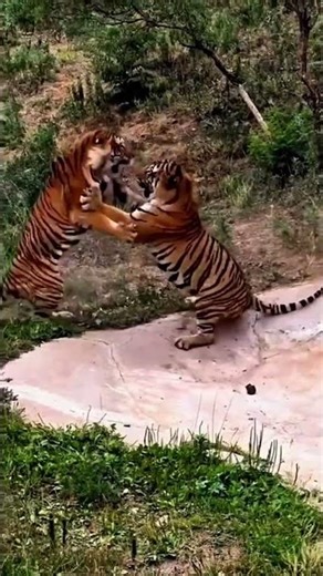 Top 10 Savage Land Animals ─ Apex Hydra