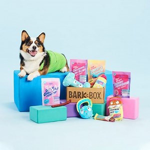 BarkBox