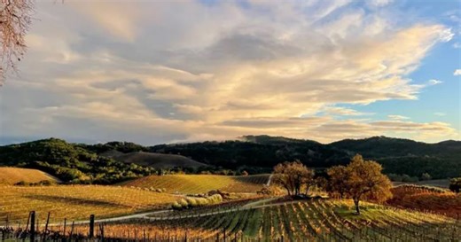 New Virginia law could threaten small wineries in the state