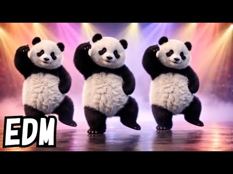 Baby Panda Rhythm Dance 🐼🎧 | EDM Hip-Hop Stage