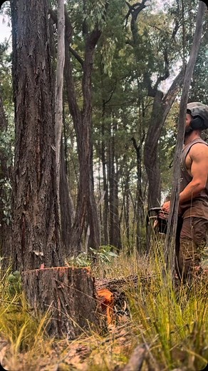 130 reactions | Red iron bark barrels starting to stack up nicely now! | Cosjack Timbers & Earthworks | Facebook