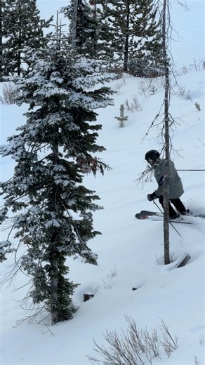 Blacktail Mountain Ski Area on Instagram: "The slopes are full of love and laughter this morning, with an overnight gift of new snow, we're celebrating with turns, secret stashes of snow, with notes of fun and sweet, sweet groomed runs! Tag us in your posts from the mountain today, we'd love to see your smiling faces!"