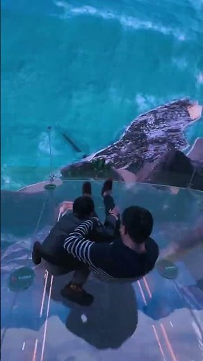 Fantasy Star City, a Hyper-Cosmic Realm! A 360° naked-eye 3D immersive experience