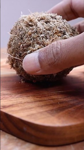 Moss Ball Terrascape🌿