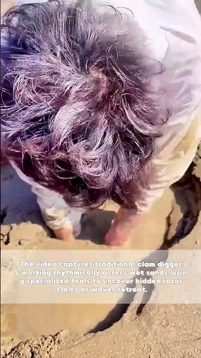 Tide's Treasure: Farmers Harvesting Razor Clams on the Receding Shoreline