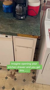 This is a sign of MAJOR rat infestation in your home! #rats #pestcontrol #homeowner #fyp #tips #OMG | Twin Home Experts