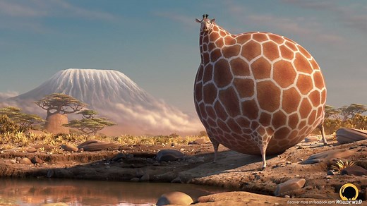 13K views · 229 reactions | Brand new ROLLIN' WILD! From the...