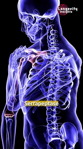 Serrapeptase is a proteolytic enzyme originally studied for its ability to break down proteins. In research settings, enzymes like serrapeptase are explored for how they interact with biological processes in the body. Learning about enzymes helps us better understand how complex and efficient the human system really is. #Serrapeptase #EnzymeTok #ScienceTok #HumanBiology #HealthEducation #WellnessTok #BiologyBasics #LongevityEducation