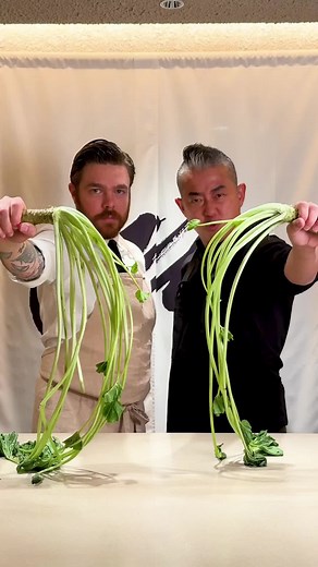Spicy Wasabi Challenge with Phillip Frankland Lee