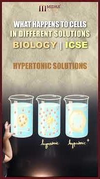 What Happens to Cells in Different Solutions? | Isotonic, Hypertonic and Hypotonic