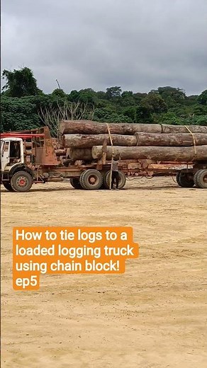 How to tie logs to a loaded logging truck using chain block!ep5