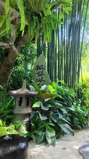 Địa Tạng Phi Lai Tự đẹp đến mức nào? #review #dulich#review