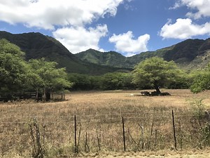 The Fight To Save Ancient Hawaiian Archeological Sites