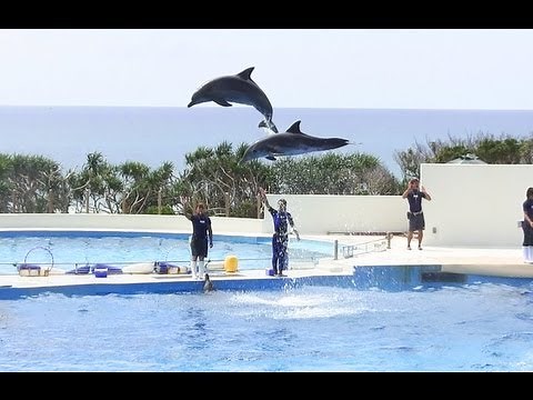 沖縄 美ら海水族館 イルカショー 2013.07 オキちゃん劇場 HD　Dolphin Show