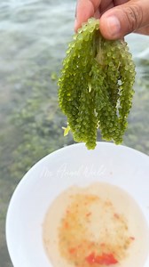 So fresh, just pick & dip! 😋 | Ms Angel World