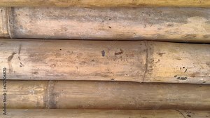 Wood texture background. Natural materials of the Dried bamboo texture. Stock Video
