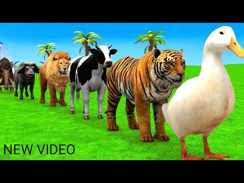 Amazing 3D Animal Cartoon | Funny Animal Animation 2025