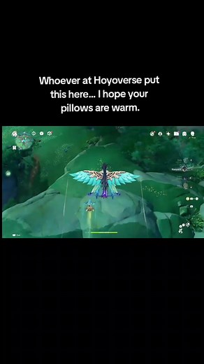 Finding Rocks for Bird Mama in Genshin Impact