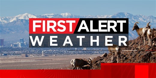 Spring-like temperatures continue