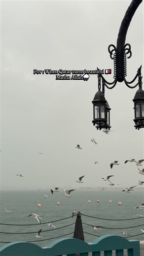 Qatar Blogger 🇶🇦 || Najanazeer on Instagram: "When Qatar turns beautiful 😍Masha allah🌧️♥️ . . . . . #qatar#qatarupdate#qatarrain#rain#rainqatar#qatarexplore#qatarliving#iloveqatar#qatarlife#qatarbloggers#qatar2025#qnd#mashaallah"