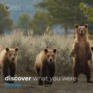 2.1K reactions · 337 shares | Young animals face new challenges as...