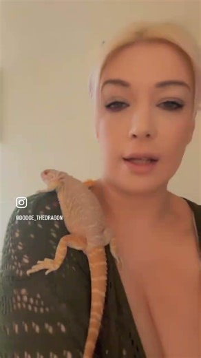 Meet the World’s Happiest Bearded Dragon 🦎 How to Bond with Your Reptile #BeardedDragon #funnyvideo