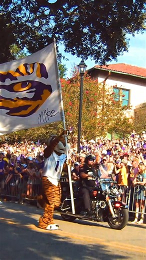 LSU Football on Instagram: "Wholesome LSU family weekend on Victory Hill"