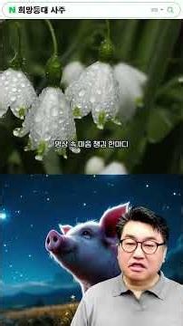 희망등대 6월 18일 금전운&애정운 오늘의 운세 /오늘의 명언 /명상 속 마음챙김 / 사주팔자 궁합 #로또1등 #긍정적마인드 #astrology #긍정의한줄 #긍정의말