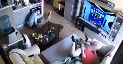 RT @str8brolhhh: We’ve gathered over 4,500 hot videos, including straight guys experimenting with other men and much more, all collected in…