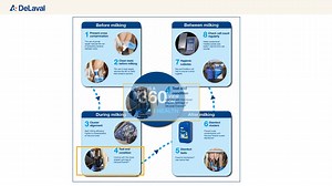 Udder health step 4: DeLaval allocates a lot of effort in developing the best possible liners for many types of cows. Check out our Clover liner! For more information on our solutions check: https://bit.ly/3ujnYKq | DeLaval