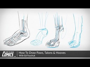 How To Draw Paws, Talons and Hooves | With Ed Foychuk