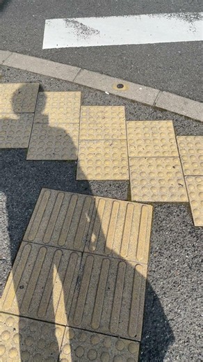 Shadow Play #77 / Walking in a Japanese Shrine #shorts