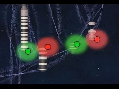9;22 FISH probe animation (Fluorescence in situ hybridization)