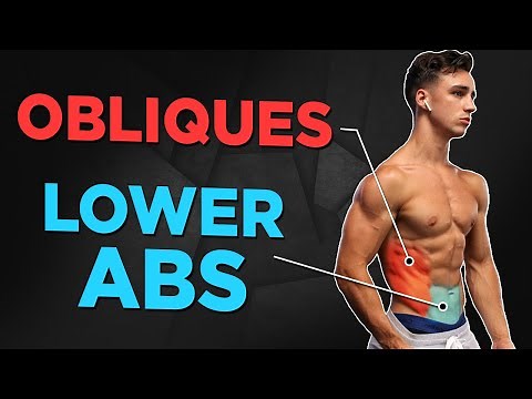 7 MIN HOME LOWER ABS and OBLIQUES (NO EQUIPMENT BODYWEIGHT WORKOUT!)