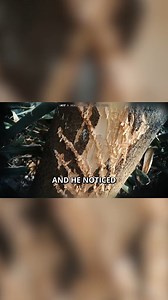 333K views · 6.6K reactions | What were these claw marks? | mrballen | Facebook