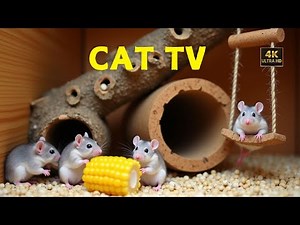 Cat TV 🐾 Mice Hide & Seek and Chase fun on screen for cats to watch 4k 60fps 12 hours