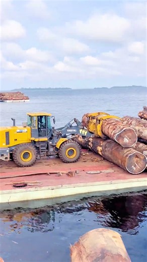 Timber Transportation: The Process of Loading Giant Logs onto a Barge
