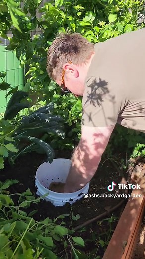 DIY Worm Farm: Step-by-Step Guide for Building an Inground Wormery