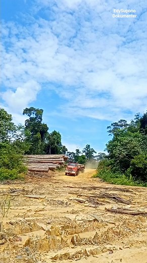 18K views · 236 reactions | Mbah Yun, loads of discarded wood for making (mating-mating) #reels #logging #loggingtruck | Edy Supono | Facebook