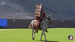 275K views · 11K reactions | Osceola and Renegade getting ready for the season. | Florida State Seminoles Football | Facebook