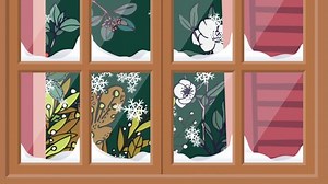 Animation Snow Falling Christmas Over Window Stock Footage Video (100% Royalty-free) 1081456358 | Shutterstock
