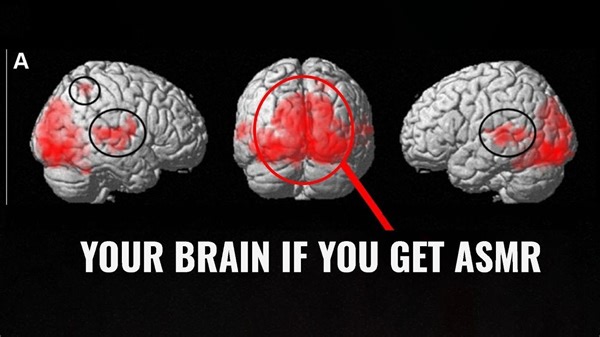 【8D/ASMR】互联网上最真实的8D声音模拟~1小时 [3D Sound Studio]