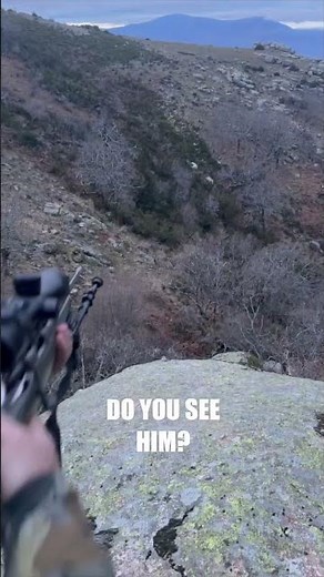 INTENSE Wild Boar Hunting in the Gredos Mountains 🐗🔥