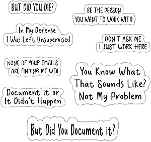 (16 PCS) Funny Work Vinyl Stickers Decorate for Books Laptop Phone Water Bottles Office Stickers Gifts for Women Coworkers Friends Assistant HR, But Did You Document it and Others 3"x1"