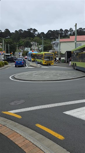 20K views · 165 reactions | Wellington... Are the busses going ok?. With the greens and "do" Little moving from hugging trees to hugging public transport. Lers take a look at the State of the bus carbon emissions, comfort, timeliness and general coolness. #WellingtonLiveTraffic | Wellington - LIVE | Facebook