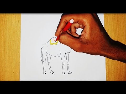 How to draw a camel 🐪✍️🎨|step 🪜 by step 🪜|Patel Drawing 🙏😉