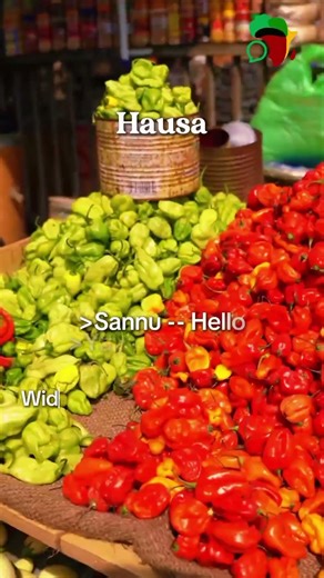 Which African language would you learn?