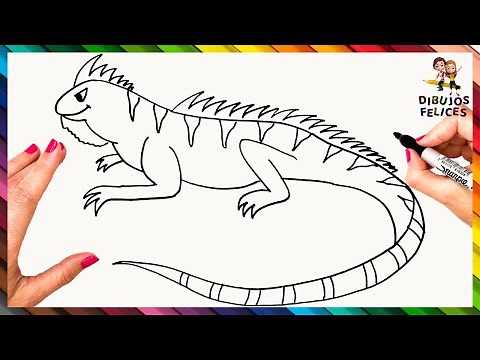 Cómo Dibujar Una Iguana Paso a Paso 🦎 Iguana Dibujo