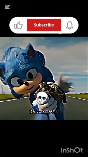Sonic Broke the Speed Meter?! 😱🐢💨 (300 KMH??!)