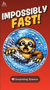 The Slowest Animal - The Sloth - Is Shockingly Fast Underwater